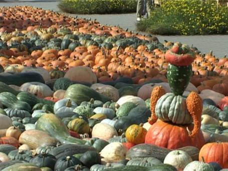 Kevelaer-Twisteden : Niederrheinpark Plantaria, die Kürbisausstellung September 2001